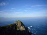 Due South